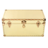 1980s vintage brass rectangular storage trunk with latch closures and center lock against white background